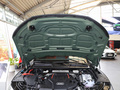 奧迪SQ5 3.0 TFSIquattro2024款