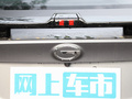 影豹 图片