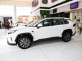 RAV4榮放 2.0LCVT兩驅(qū)20周年鉑金紀(jì)念版2023款