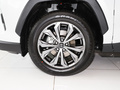 RAV4榮放 2.0LCVT兩驅(qū)20周年鉑金紀(jì)念版2023款