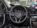 RAV4榮放 2.0LCVT兩驅(qū)20周年鉑金紀(jì)念版2023款