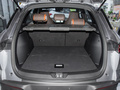 宋pro 新能源 冠军版 DM-i110KM超越型2023款