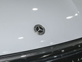 奔驰EQE SUV 图片