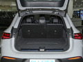 奔驰EQE SUV 图片