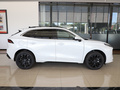 风行T5 EVO 狂飚版 1.5TDDCT马赫钻石款2024款