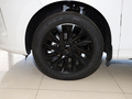 风行T5 EVO 狂飚版 1.5TDDCT马赫钻石款2024款