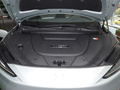 極狐 阿爾法S(ARCFOX αS) 735E+ 森林版160kW2023款