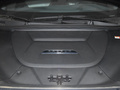 極狐 阿爾法S(ARCFOX αS) 735E+ 森林版160kW2023款
