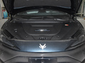 極狐 阿爾法S(ARCFOX αS) 735E+ 森林版160kW2023款