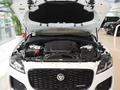 捷豹F-PACE P250 R-DynamicSE2024款