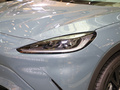 極狐 阿爾法S(ARCFOX αS) 735E+ 森林版175kW2023款
