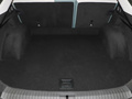 極狐 阿爾法S(ARCFOX αS) 735E+ 森林版175kW2023款