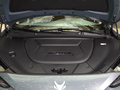 極狐 阿爾法S(ARCFOX αS) 735E+ 森林版175kW2023款