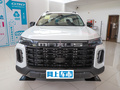 星際H 2.0T自動四驅(qū)汽油豪華版標軸2023款