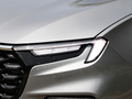 领裕 EcoBoost 225 黑曜倾橙版尊领型7座（2/3/2）2023款