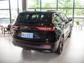 領(lǐng)裕 EcoBoost 225 黑曜傾橙版尊領(lǐng)型7座（2/2/3）2023款