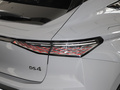DS 4 图片