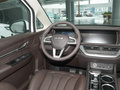 王牌M7 2.0L 自動長軸商務型7座2023款
