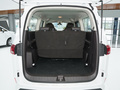 王牌M7 2.0L 自動長軸商務型7座2023款