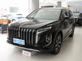 紅旗HS7 2.0T 自動(dòng)兩驅(qū)旗享版七座2023款