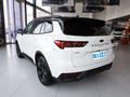 领睿 极境 EcoBoost 170光影2023款