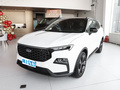 领睿 极境 EcoBoost 170光影2023款