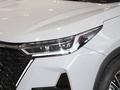 瑞虎8 PRO 冠軍版 390T 兩驅傲視版7座2024款