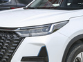 瑞虎8 PRO新能源 冠軍版 1.5T 100km榮耀版2023款