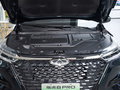 瑞虎8 PRO新能源 冠军版 1.5T 100km王者版2023款