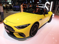 奔馳SL級AMG AMG SL 634MATIC+2024款