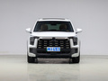 傳祺ES9 PHEV 143km 旅行者M(jìn)ax2024款