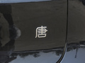 唐新能源 图片