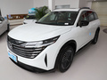 探陆 380VC-TURBO 四驱智尊版6座2024款