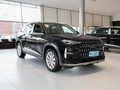 奥迪Q6 45 TFSI quattro 齐云型 羽林套装6座2024款