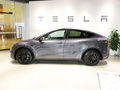 Model Y 图片