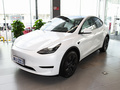 Model Y 图片