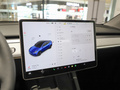 Model Y 图片