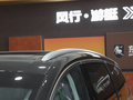 风行·游艇 图片
