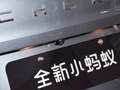 小蚂蚁 图片
