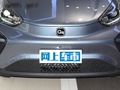 小蚂蚁 图片