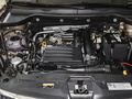 柯珞克 TSI280尊享版2024款
