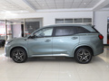 藍電E5 1.5L DE-i 100KM臻享型 7座2023款
