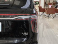 红旗HQ9 PHEV 2.0T四驱商务版2024款