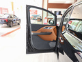 红旗HQ9 PHEV 2.0T四驱商务版2024款