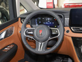 红旗HQ9 PHEV 2.0T四驱商务版2024款