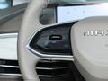 大家7 605km森林加長續(xù)航版2024款
