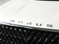 上汽大通MAXUS G90 图片
