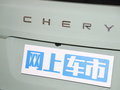 小蚂蚁 图片