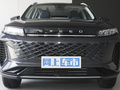 星途追風(fēng)C-DM C-DM 1.5TCI105KM優(yōu)享版2024款