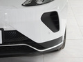 极狐 阿尔法T(ARCFOX αT) 618E 森林版PRO175kW2024款